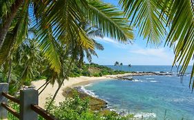 Eva Lanka Hotel - Beach&Wellness